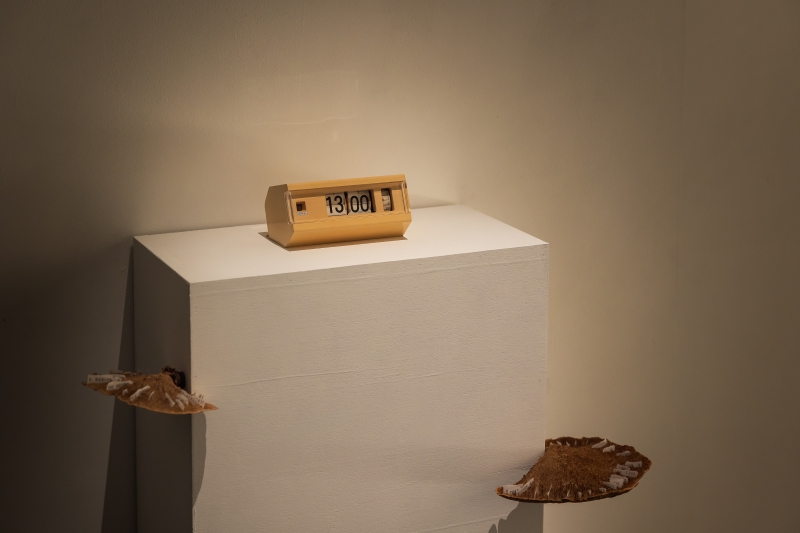 「三個太陽」個展｜胡農欣｜國藝會補助成果檔案庫